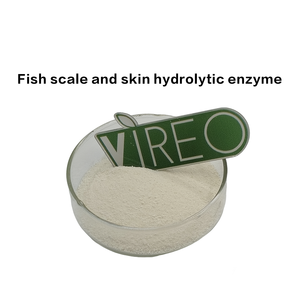 เอนไซม์ไฮโดรไลต์จากเกล็ดและหนังปลา ราคาขายส่ง คุณภาพสูง ผงเอนไซม์ไฮโดรไลต์จากเกล็ดและหนังปลา - Product Image 1