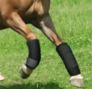 Pferdeschuhbürsten-Stiefel Pferdeschutz Reiten langlebiges Reiten Reiterzubehör Ausrüstung Pferdestiefel