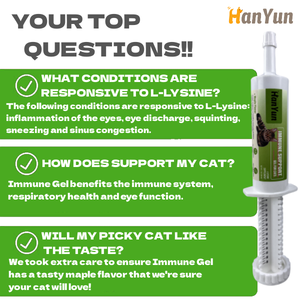 Hanyun Pet Immune Support Gel Suplemento <span class=keywords><strong>de</strong></span> pasta nutricional Promueve el sistema inmunológico con L-lisina para gatos - Product Image 5