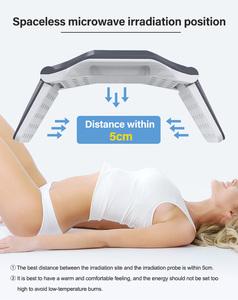 เครื่องสลายไขมัน Spaceless Lipolysis Lumewave Master ลดไขมัน กระชับสัดส่วน สร้างหุ่นโค้งเว้า ไม่ต้องผ่าตัด ไม่ต้องพักฟื้น - Product Image 5
