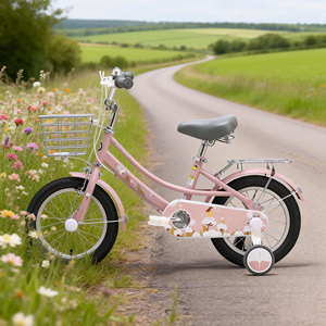 Bicicleta Infantil Hebei HyPod, Nueva, en Oferta, Regalo para Niñas <span class=keywords><strong>de</strong></span> 3 a 10 Años, con Marco <span class=keywords><strong>de</strong></span> Acero y Ruedas <span class=keywords><strong>de</strong></span> Tren Ordinarias - Product Image 1