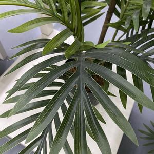 Mini palmera artificial, hoja de PE, para decoración interior del hogar - Product Image 5