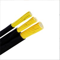Cable de Control NH-KVV/NH-KVVP de 10 Núcleos, 0.75 mm, con Cubierta de PVC Blindada, Conductor de Cobre Desnudo Resistente al Fuego, para Iluminación de Emergencia