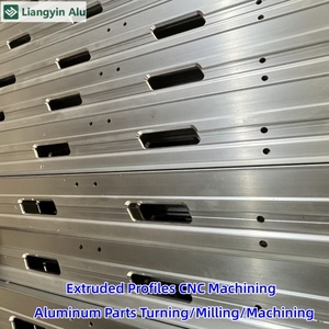 Hồ Sơ đùn và dịch vụ gia công chính xác <span class=keywords><strong>CNC</strong></span> cho nhà sản xuất nhôm với lớp phủ bột cho tản nhiệt loạt 6000 - Product Image 6