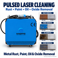 Nettoyeur laser pulsé portatif pour l'élimination de la rouille et de la peinture automobile