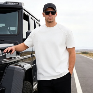 TKAN663D Nouveautés T-shirt pour homme en coton 100% respirant, ample, taille plus, 260 g/m², manches courtes, uni, fournisseur en vogue - Product Image 1