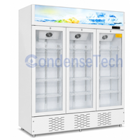 Réfrigérateur commercial vertical pour boissons, vitrine réfrigérée avec verre trempé incurvé, température unique, contrôle numérique