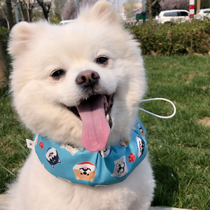 Collier Bandana rafraîchissant pour chien avec packs de glace recyclables Collier ajustable pour chien de compagnie Collier de refroidissement pour chien Echarpe de cou Cooler Wrap pour chiens - Product Image 1