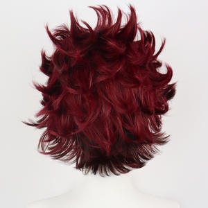Perruque de <span class=keywords><strong>cosplay</strong></span> <span class=keywords><strong>Tanjiro</strong></span> Kamado marron foncé, fibres haute température, cheveux courts, petit bonnet, dentelle transparente - Product Image 4