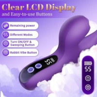 Baguette de massage vibrante à affichage numérique APP, stimulation du point G, vibrateur féminin, jouet sexuel pour adultes