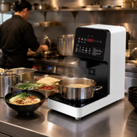 Cuiseur à nouilles électrique IH 220V 2000W avec panneau tactile, ébullition rapide, coque ABS, pour cuisine