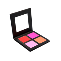 Marque privée Maquillage Blush Blush Poudre Cosmétique Blush Palette OEM