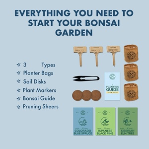 Kit de culture Bosai Garden Grow Kit Republic Jnr, kit de démarrage pour décorer et planter, ensemble d'art de jardinage DIY pour enfants - Product Image 2