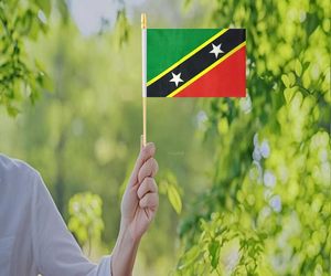 Drapeau de main de Saint Kitts et Nevis de 14x21 cm-<span class=keywords><strong>Mini</strong></span> drapeau de bâton en polyester durable Impression numérique vibrante pour défilés, sports et événements - Product Image 5