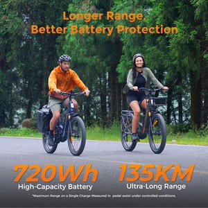 ENGWE E26 3.0 Pro Bicicleta Eléctrica Todoterreno con Neumáticos Gruesos 26x3.0, 250W, Tracción Media, Suspensión Completa, 48V 15Ah, 8 Velocidades, Frenos Hidráulicos, Plegable, 135km de Autonomía - Product Image 2