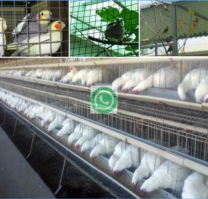 6 Gauge Hot Dipped Galvanized Flat Wire <b>Mesh</b> <b>Fence</b> Panels Durable Low Carbon Steel Building Material - Product Image 6