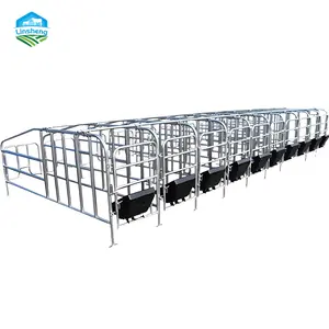 Pig Farming Equipment Cage Location Bar For Pregnant Sow Gestation Stall Hot dip galvanized pig cage