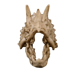 Triceratops resina para calavera SKD06 decoración de escritorio de animales de moda para oficina o Artesanías de resina de Halloween - Product Image 4