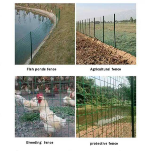 Green Color Square Hole PVC Coated Welded <b>Wire</b> <b>Mesh</b> Fence Panels with Cutting Service Iron <b>Wire</b> <b>Mesh</b> Roll - Product Image 5