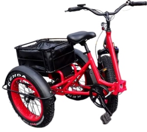 Nouveau Design électrique trois roues <span class=keywords><strong>vélo</strong></span> 750w/500W 3 roues voiture Cargo Tricycle électrique gros pneu avec UL approuvé - Product Image 2