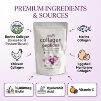 Poudre de Collagène Peptidique Premium, Matière Première Nutritionnelle, Grand Stock Disponible, Fabrication OEM ODM Marque Privée