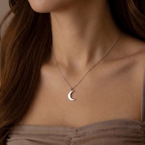 Collar con colgante de luna de acero inoxidable para mujer, uso diario, regalo, joyería, diseño geométrico D2248-1D2249-1 - Product Image 1