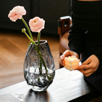 Vase en verre transparent irrégulier haut de gamme, vase décoratif de bureau pour salon, vase transparent pour fleurs hydroponiques