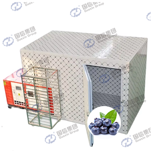 เครื่องจักรอบแห้งอัจฉริยะสำหรับการอบแห้งและแปรรูปบลูเบอร์รี่สด - Product Image 1