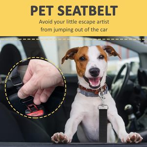 Laisse de sécurité pour chien et siège auto pour petits chiens en voyage - Product Image 4