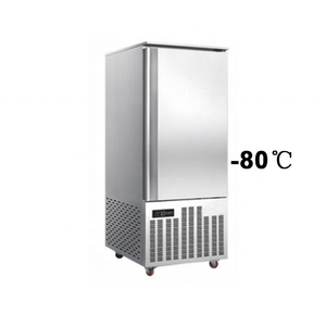 16 Trays Shock Tuna Stainless Steel Ice Block Commercial Blast Freezer Chiller Cabinet Plate Small Metal Quick freezer for Meat