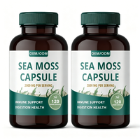 Complément avancé d'algues marines OEM avec racine de bardane, fucus vésiculeux, Muira Puama, 120 capsules, certifié ISO