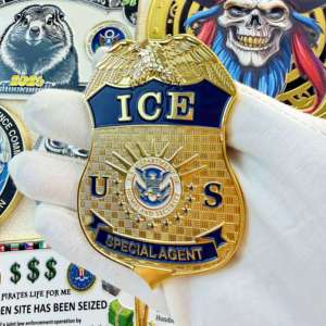 Agen Layanan Khusus AS Koin Maskot ICE Berlapis Emas dari Paduan Seng yang Disesuaikan untuk Layanan Perlindungan Federal, Wisuda, dan Natal - Product Image 1