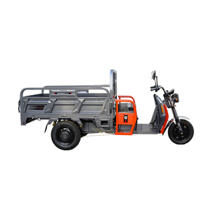 2025 Neues Modell EEC COC 2000W 3000W 72V Fracht-Dreirad Leistungs starker Muster bestell test - Product Image 3