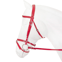 Bridon de cheval en PVC à double bride, confortable, durable et imperméable, coloré, vente en gros, offre spéciale