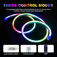 IP67 étanche paysage RGBIC néon lumière LED bande ensemble intelligent Flexible 5V USB APP BT télécommande bande néon pour chambre