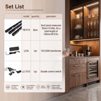 Kit Lampu LED untuk Lemari Dapur (3pcs) dengan Transformator dan Sakelar Sensor Pintu Ganda YB1015TZ-21