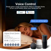 Modul Saklar Zigbee Smart Life Kontrol Suara Timer Jarak Jauh DIY Tuya Mini 12A Kualitas Terbaik