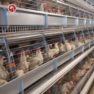 Machine automatique de semis de poussette pour cage de poulet de volaille de ferme