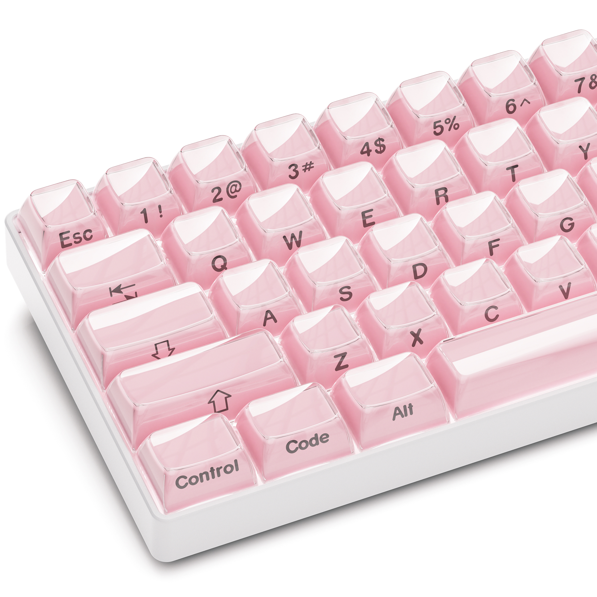 Rosa