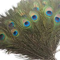 Plumes de Paon Naturelles Véritables 25-130CM de Haute Qualité, Plumes Ocelles pour Bijoux DIY et Décoration Maison