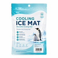 Emballage de tapis de glace à pochette plate sous vide en nylon métallisé personnalisé pour aliments flexibles-pour chewing-gum sushi gelée de lait
