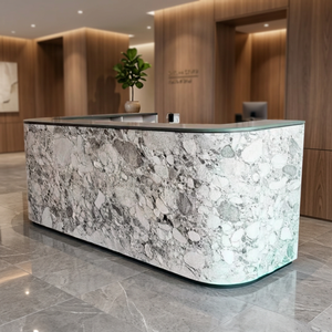 Losa delgada de mármol blanco, chapa de piedra de mármol natural, diseño contemporáneo, revestimiento de pared interior, acabado de superficie duradero - Product Image 2