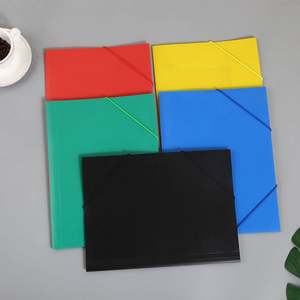 Artículos de Oficina, Productos de Archivo Portátiles Impermeables, Carpetas de Archivo Decorativas Expandibles de Plástico Transparente A4 Personalizadas - Product Image 5