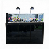 Aquarium sans cadre pour eau douce avec meuble en aluminium et filtre à sump pour la décoration de salon et de maison