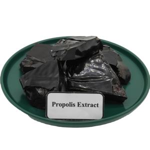 Bloc d'extrait de <span class=keywords><strong>propolis</strong></span> d'abeille raffiné pur naturel haute pureté organique vert haute flavonoïdes bloc d'extrait de <span class=keywords><strong>propolis</strong></span> en vrac solide - Product Image 3