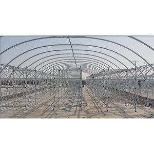Invernadero de setas con estructura de acero galvanizado para cultivo de hongos comestibles - Product Image 1