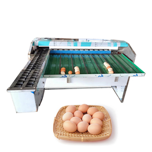 Egg Sorting Machine 10000 Pcs Stainless Steel Chicken Egg Sorting Machine by Weight Chicken Egg Grader - Product Image 6