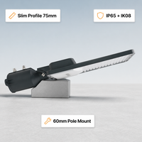 Lámpara de Calle LED para Exteriores con Certificación CE de 100W, Cuerpo de Aluminio, IP65, para Carreteras