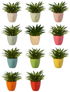 Pot <span class=keywords><strong>de</strong></span> fleurs à tête en plastique, Pot <span class=keywords><strong>de</strong></span> fleurs à <span class=keywords><strong>personnage</strong></span> moderne abstrait, Vase <span class=keywords><strong>de</strong></span> plantes en Pot, ameublement cadeau - Product Image 2
