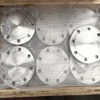 Flanges d'alimentation en eau EN-1092, fabricant, BL DN125 DN150 DN200 DN250 DN300, acier au carbone forgé A105 S235JR, flanges aveugles